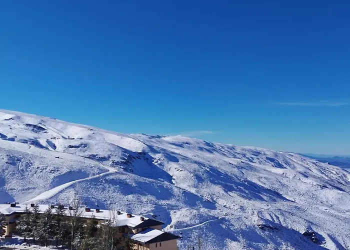 Montreal דירה סיירה נבדה